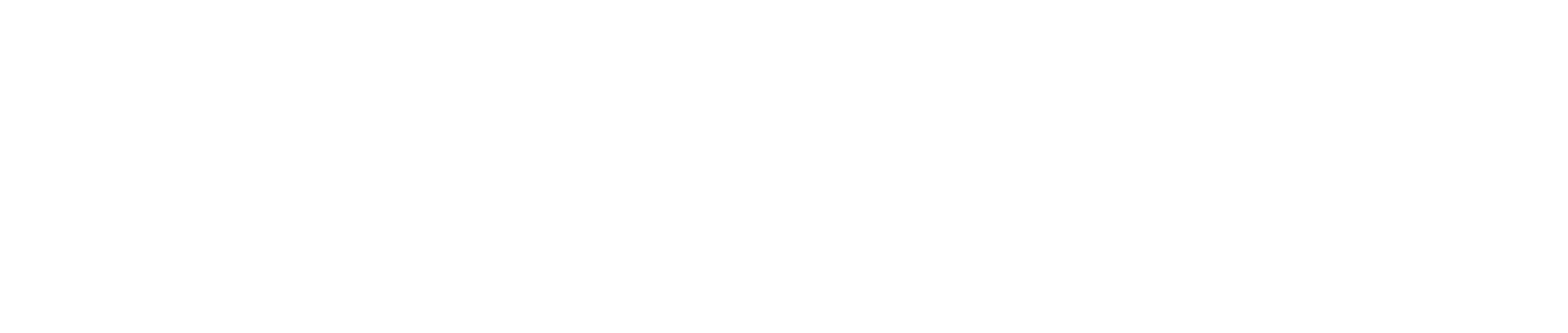 Agent AI