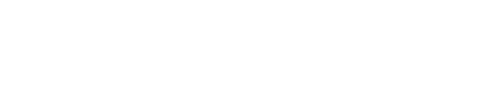 Agent AI